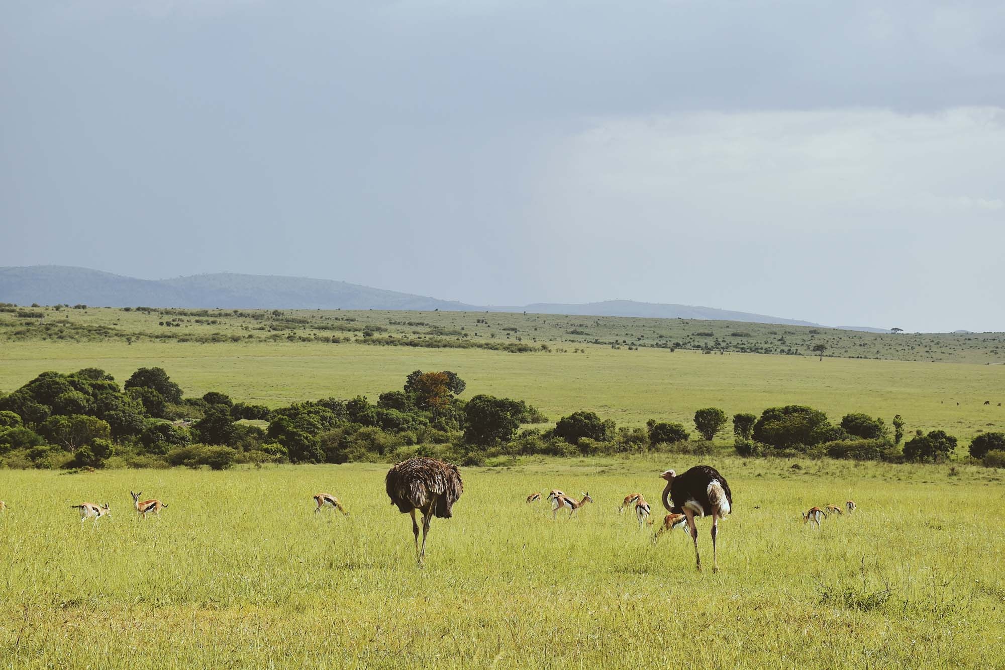Du lich chau Phi anh 37