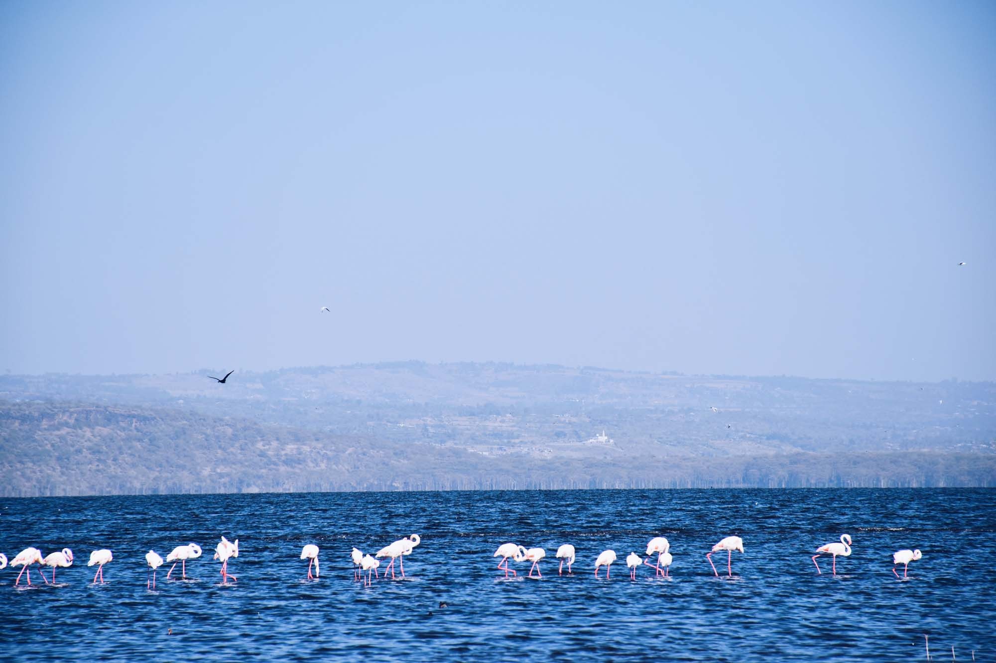 Du lich chau Phi anh 34