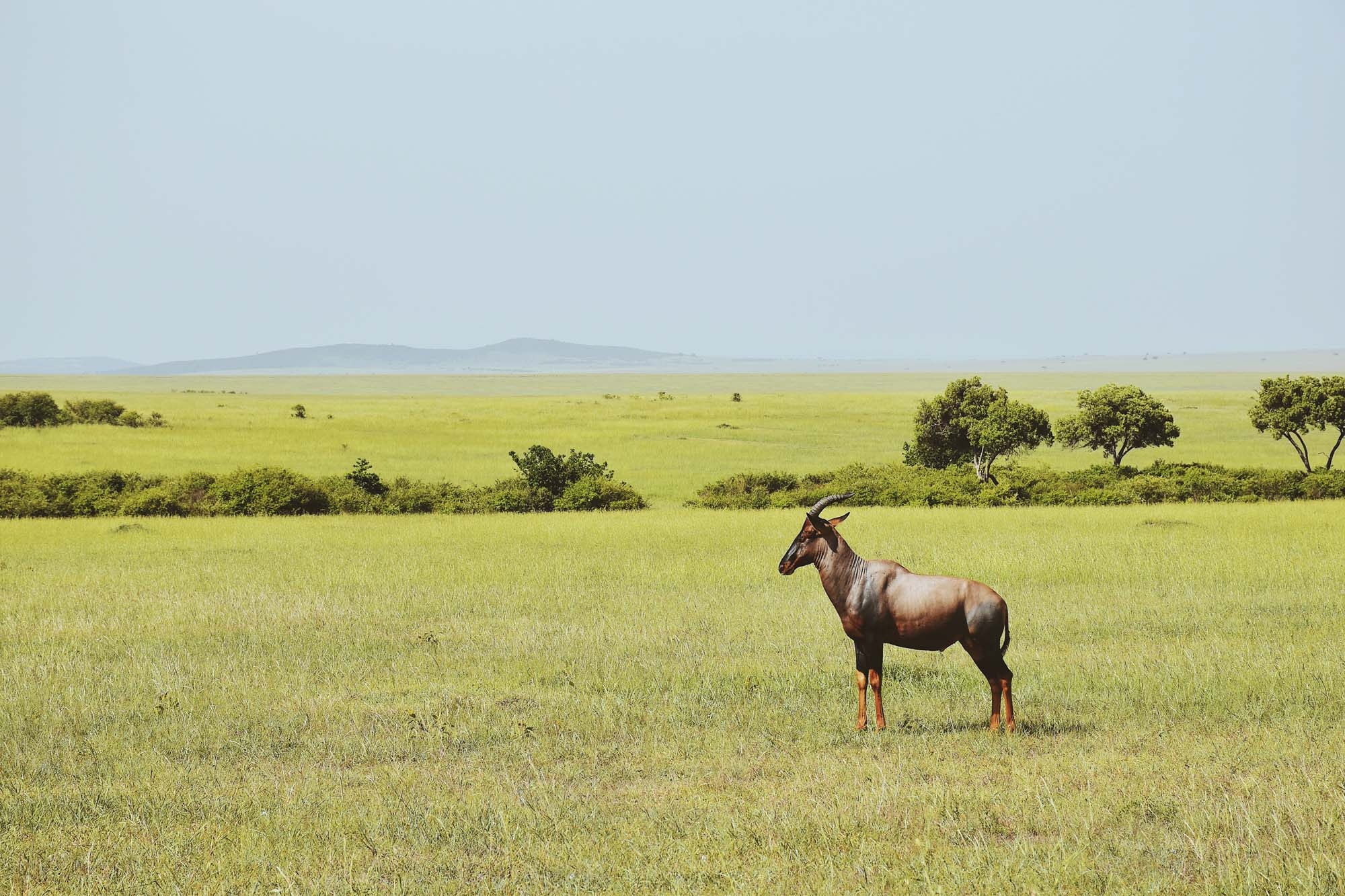 Du lich chau Phi anh 40