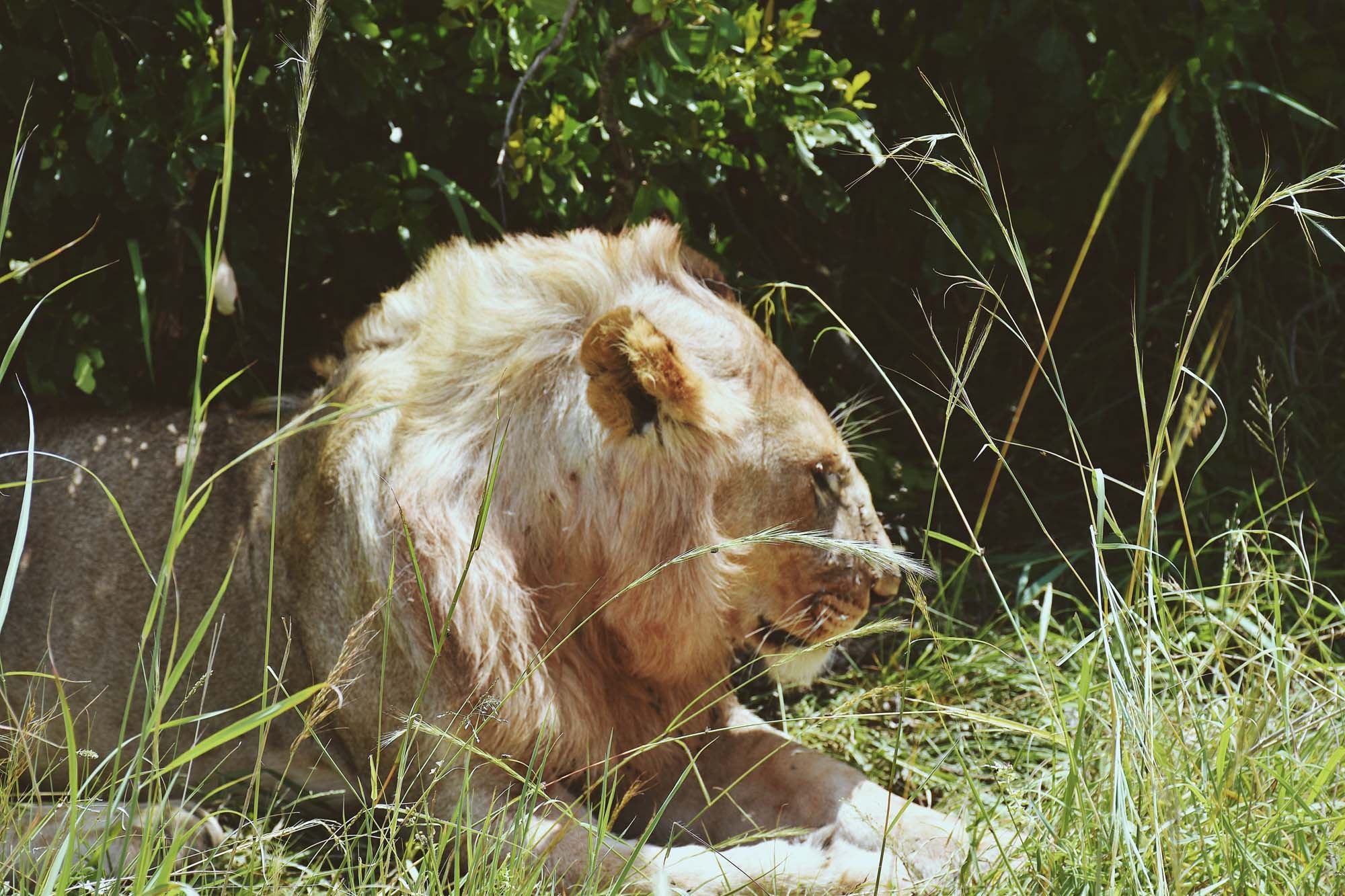 Du lich chau Phi anh 41