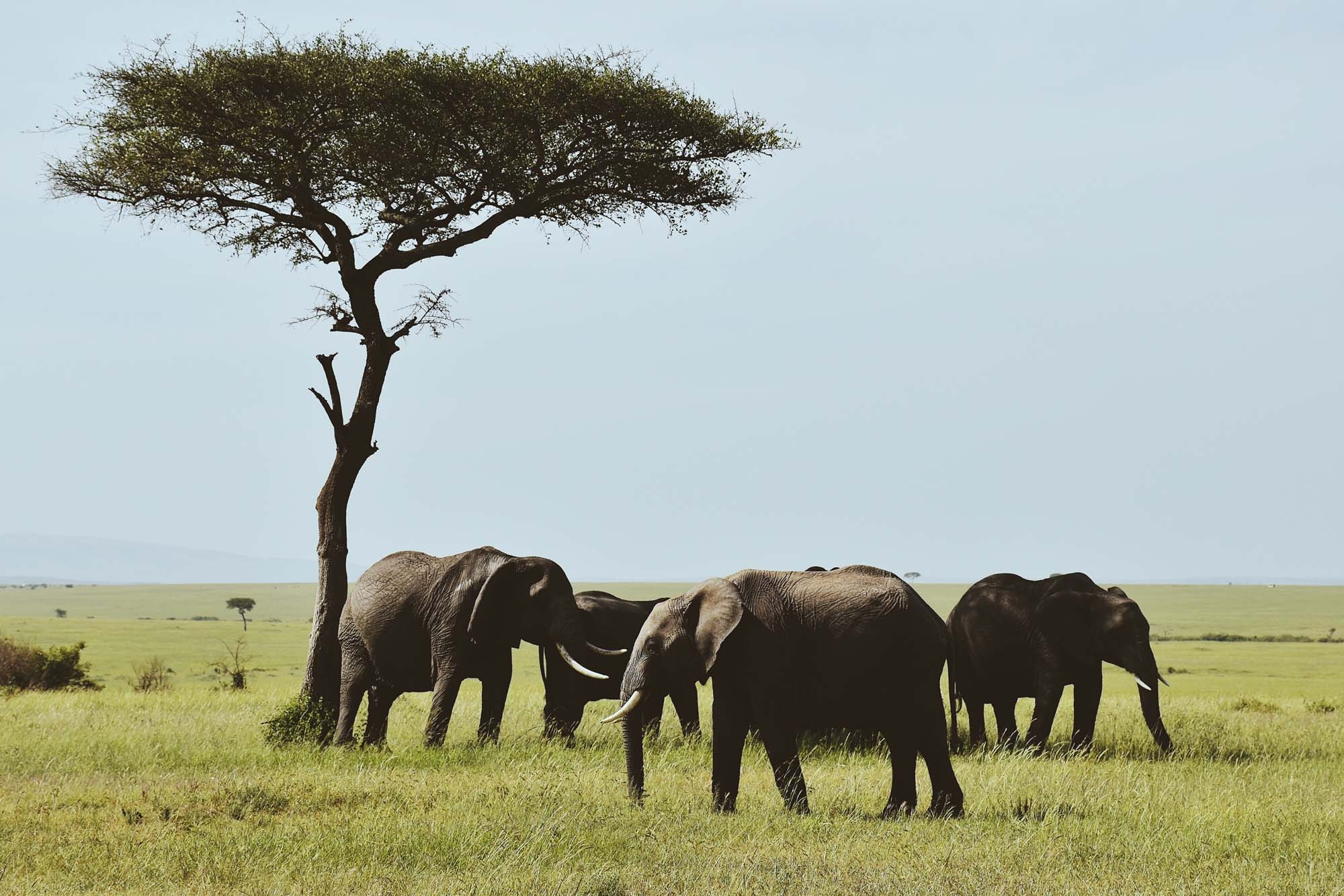 Du lich chau Phi anh 42