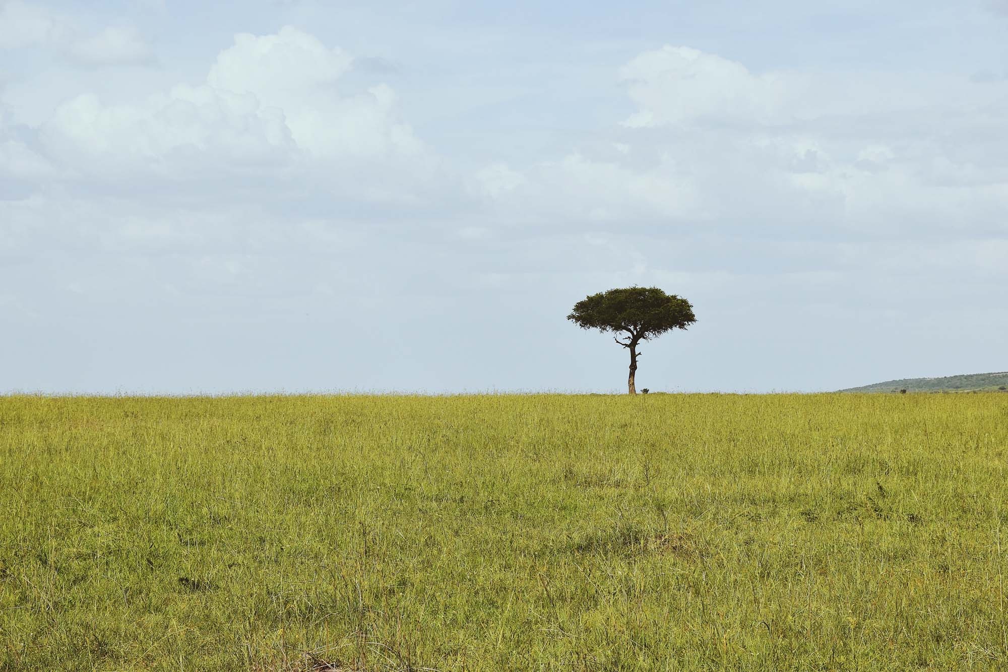 Du lich chau Phi anh 19