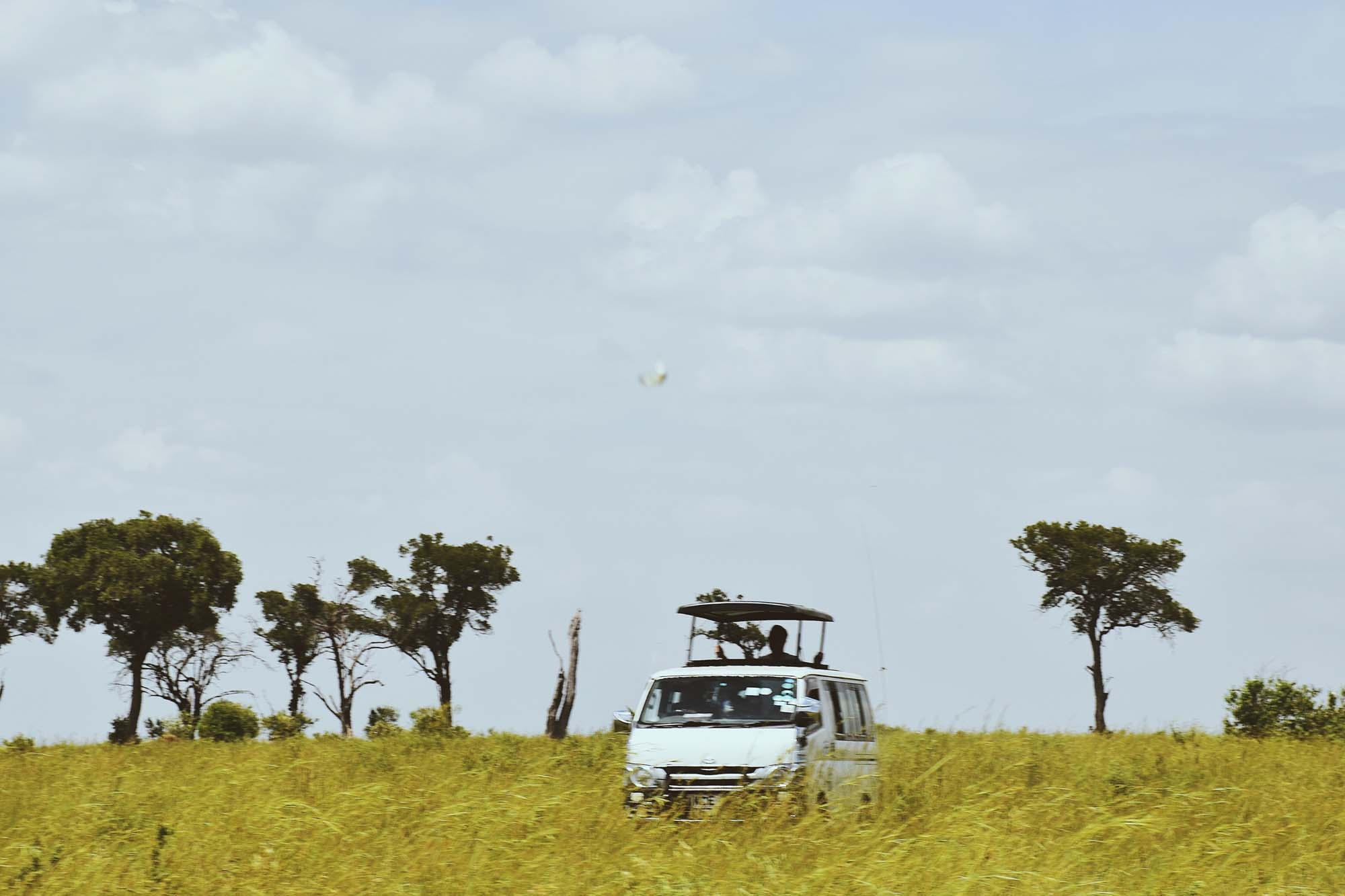 Du lich chau Phi anh 31