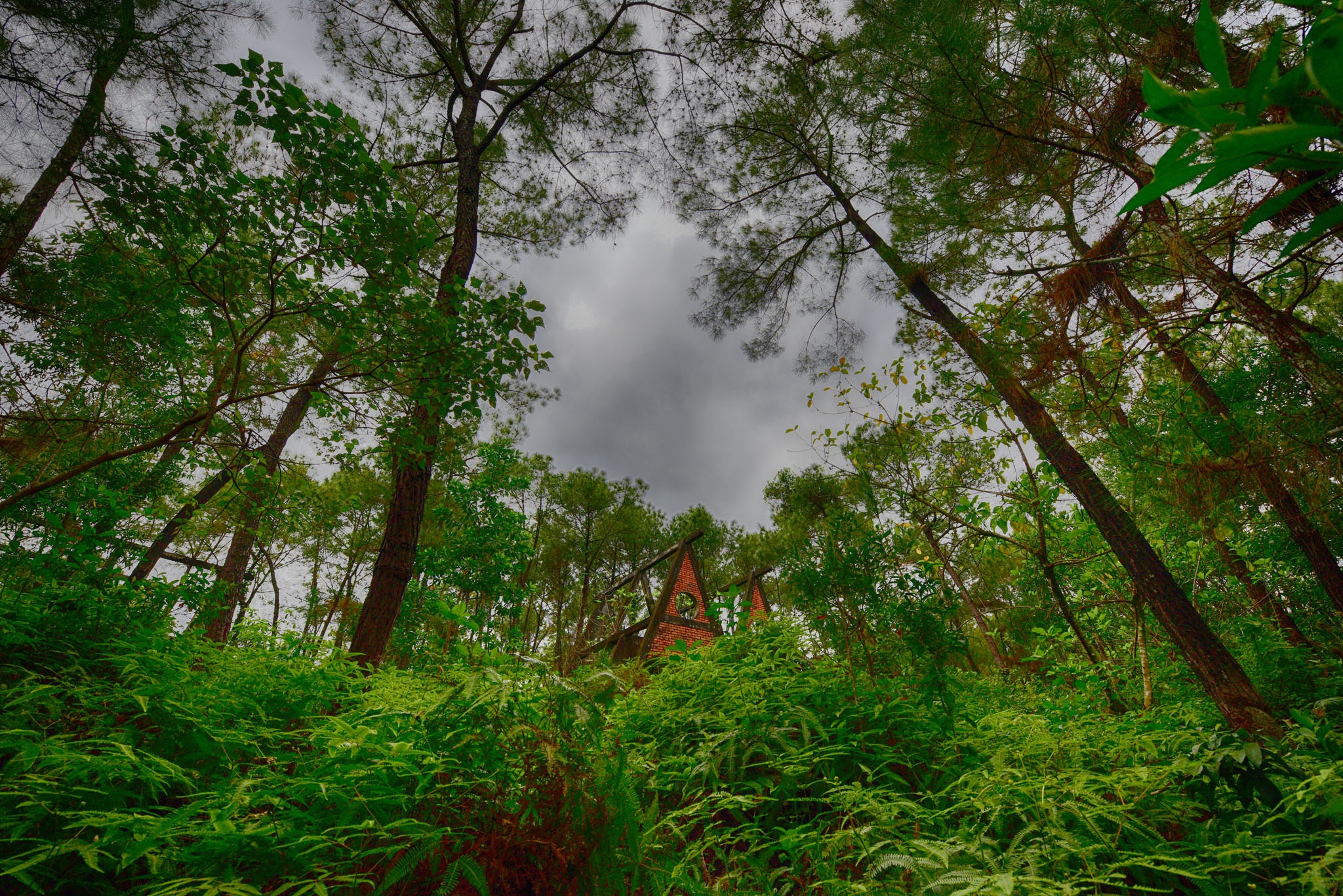 Cong vien bo hoang o Hue anh 11