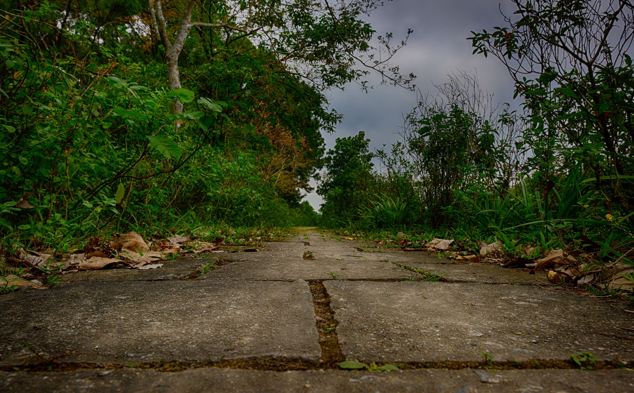 Cong vien bo hoang o Hue anh 12