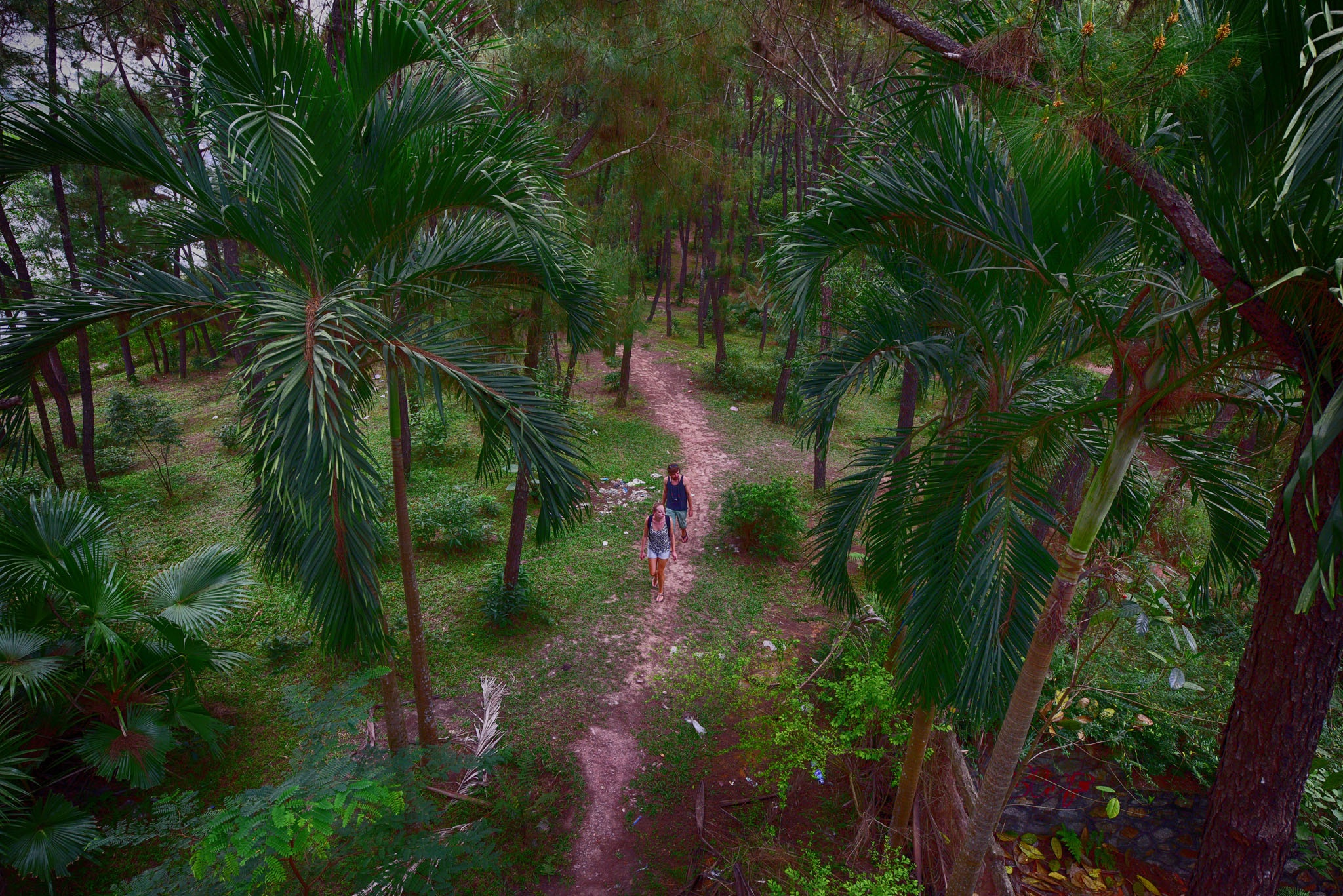 Cong vien bo hoang o Hue anh 14