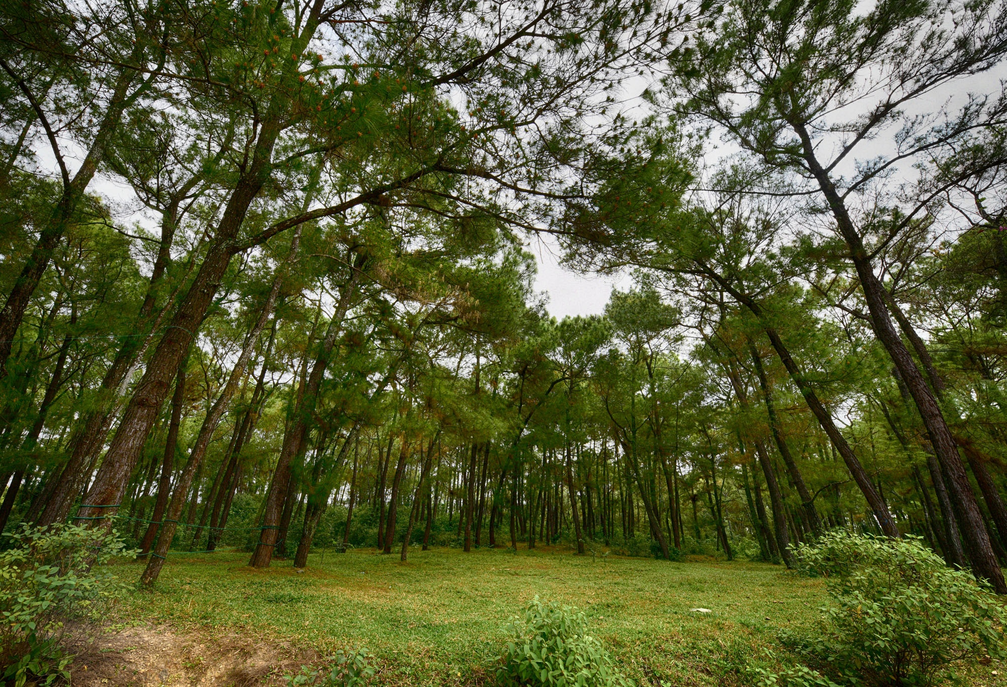 Cong vien bo hoang o Hue anh 2