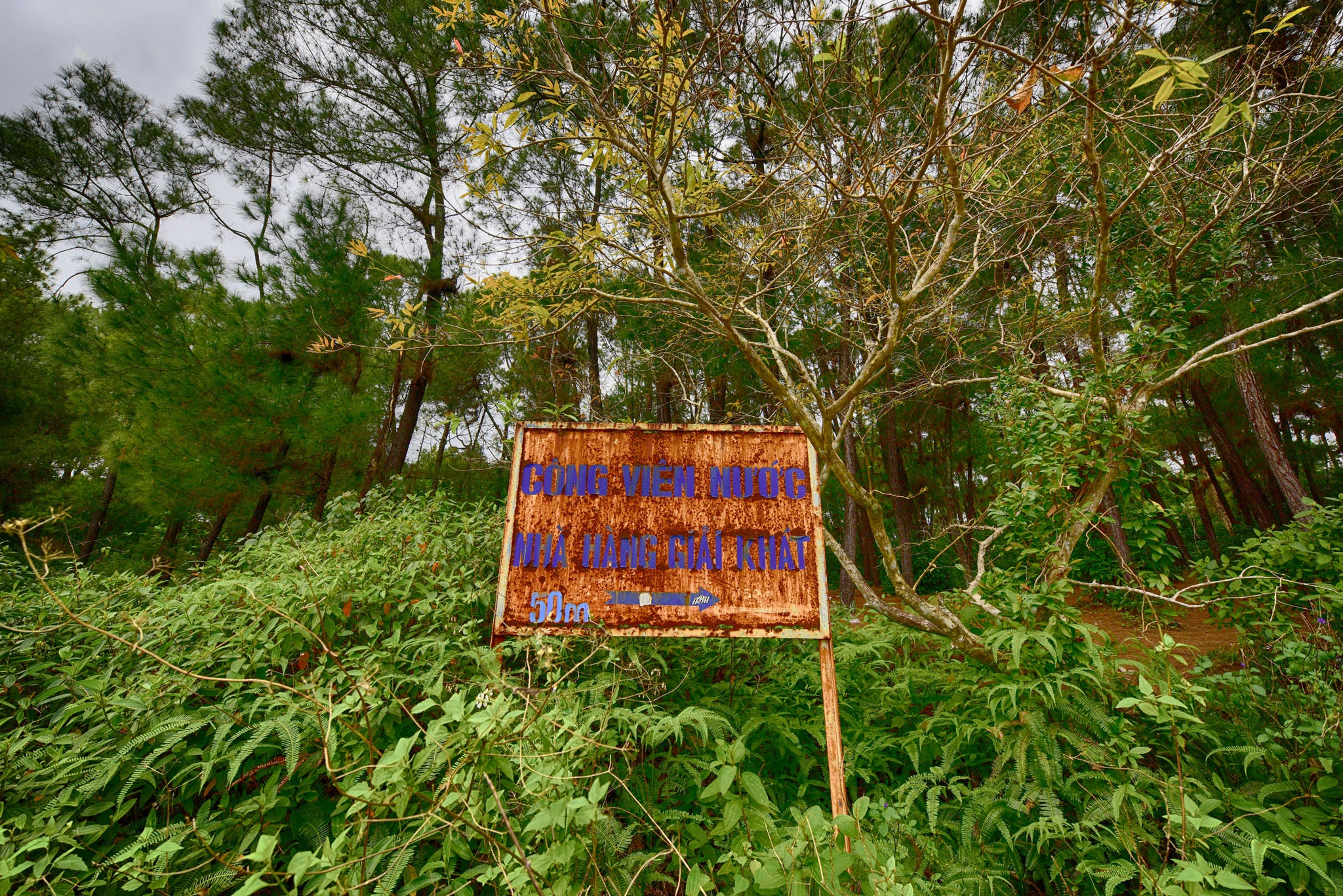 Cong vien bo hoang o Hue anh 10