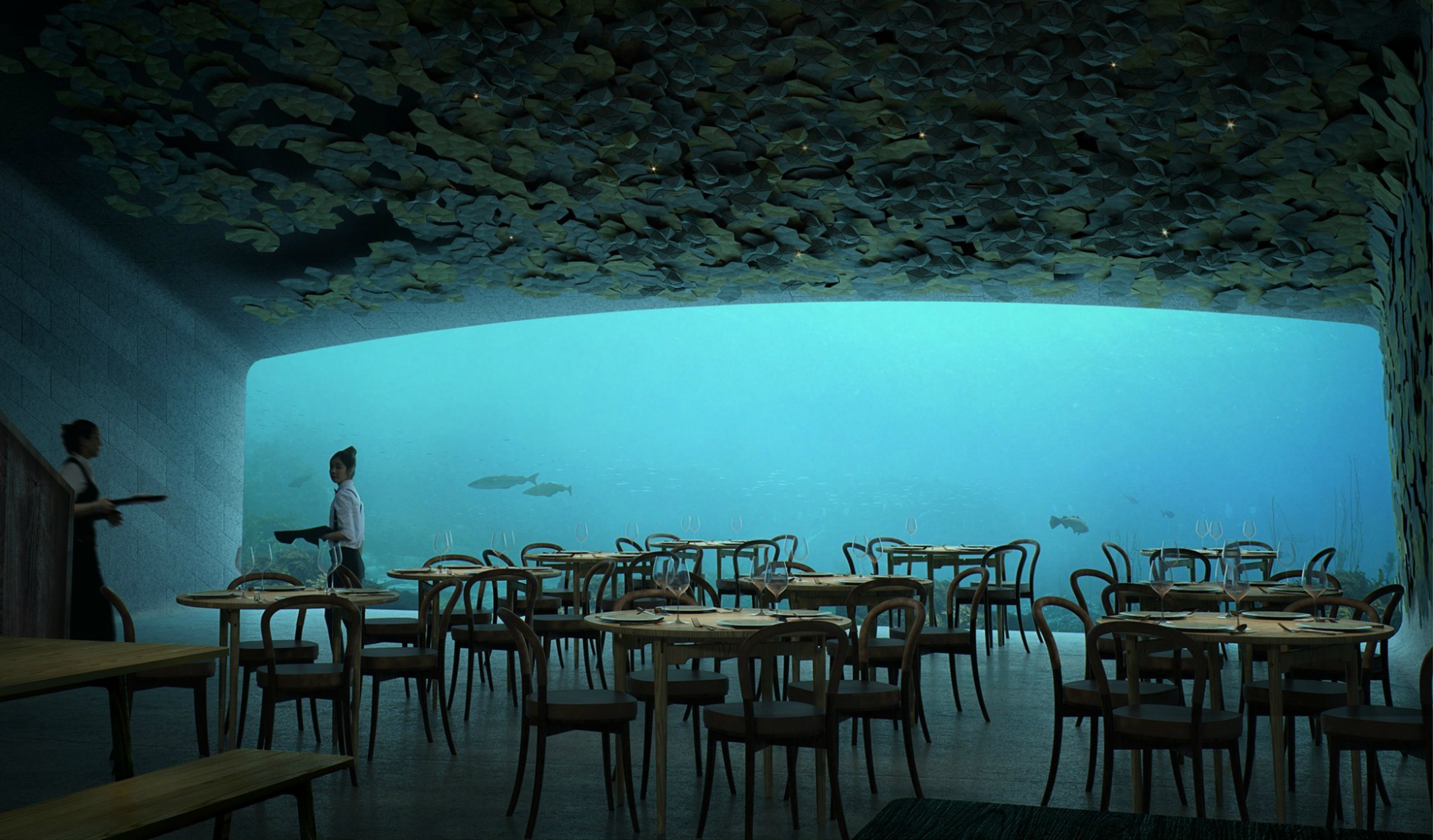 Nha hang duoi day bien anh 2