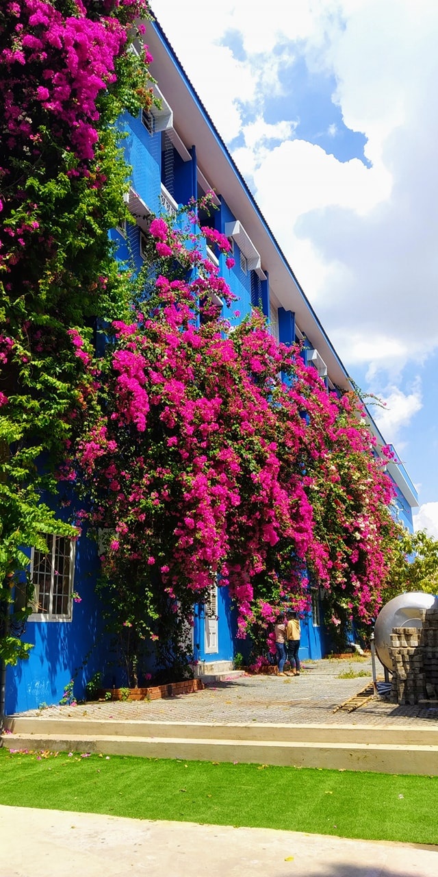 Dai hoc Thu Dau Mot anh 2