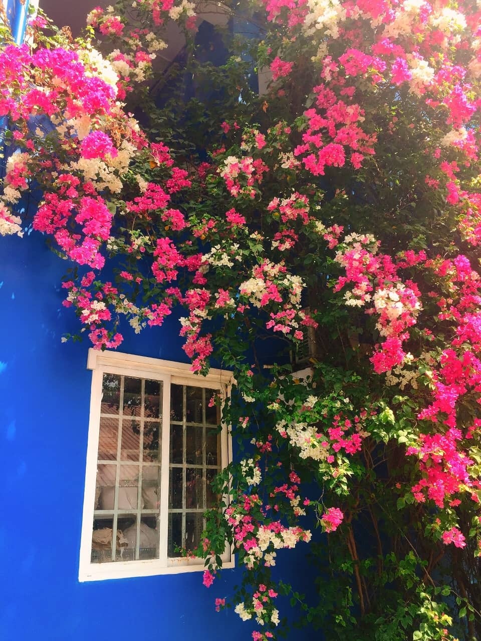 Dai hoc Thu Dau Mot anh 4