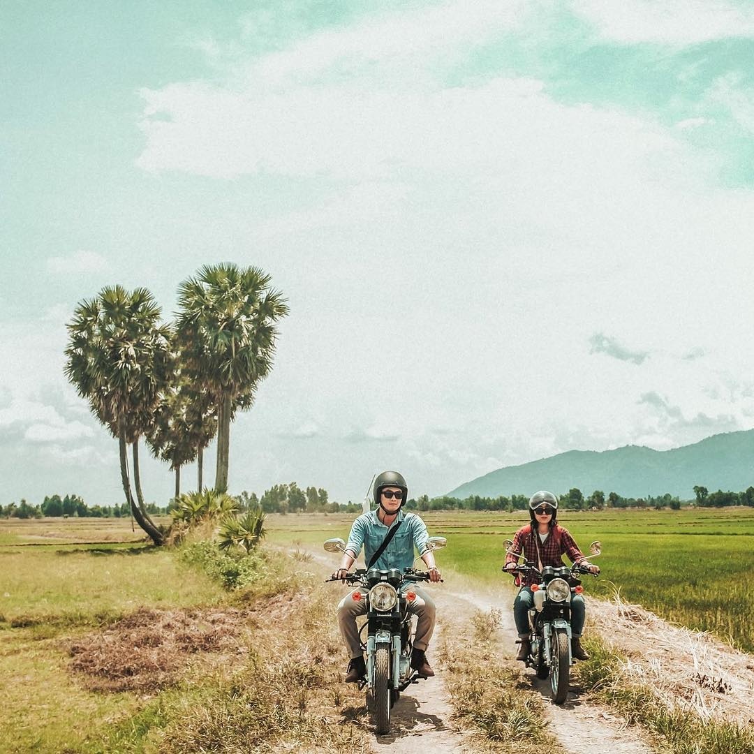 Cây thốt nốt trái tim An Giang ảnh 2 Cay thot not trai tim An Giang anh 2