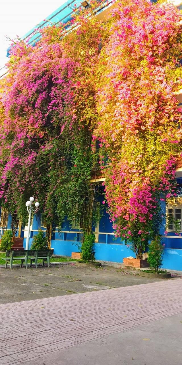 Dai hoc Thu Dau Mot anh 7