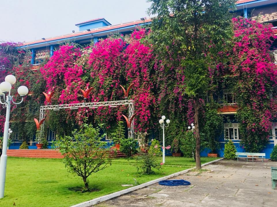 Dai hoc Thu Dau Mot anh 11