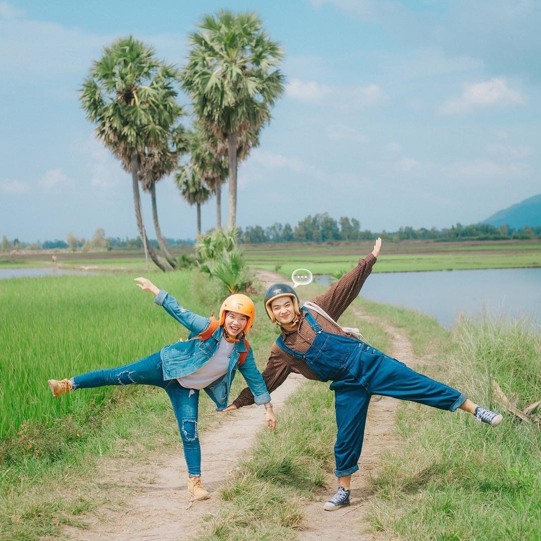 Cây thốt nốt trái tim An Giang ảnh 4 Cay thot not trai tim An Giang anh 4