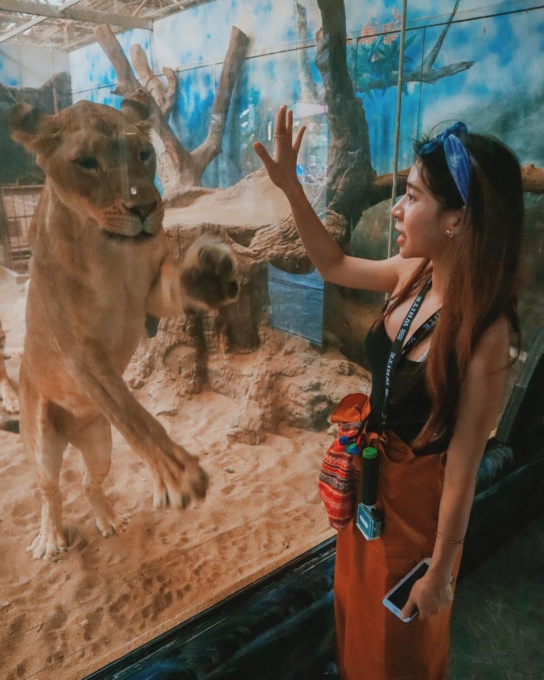 Du lịch Thái Lan ảnh 6 Du lich Thai Lan anh 6