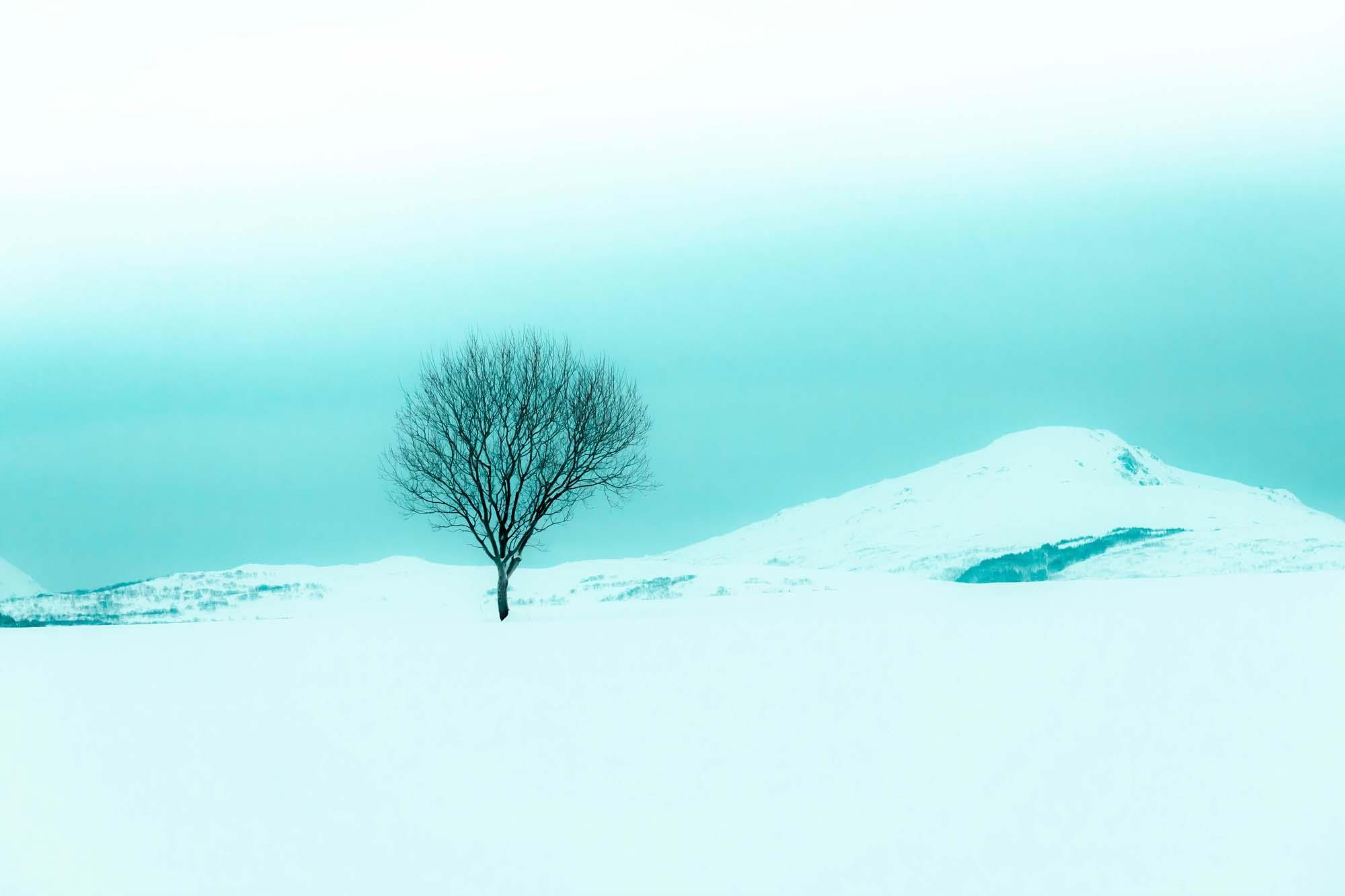 Du lich Na Uy anh 30