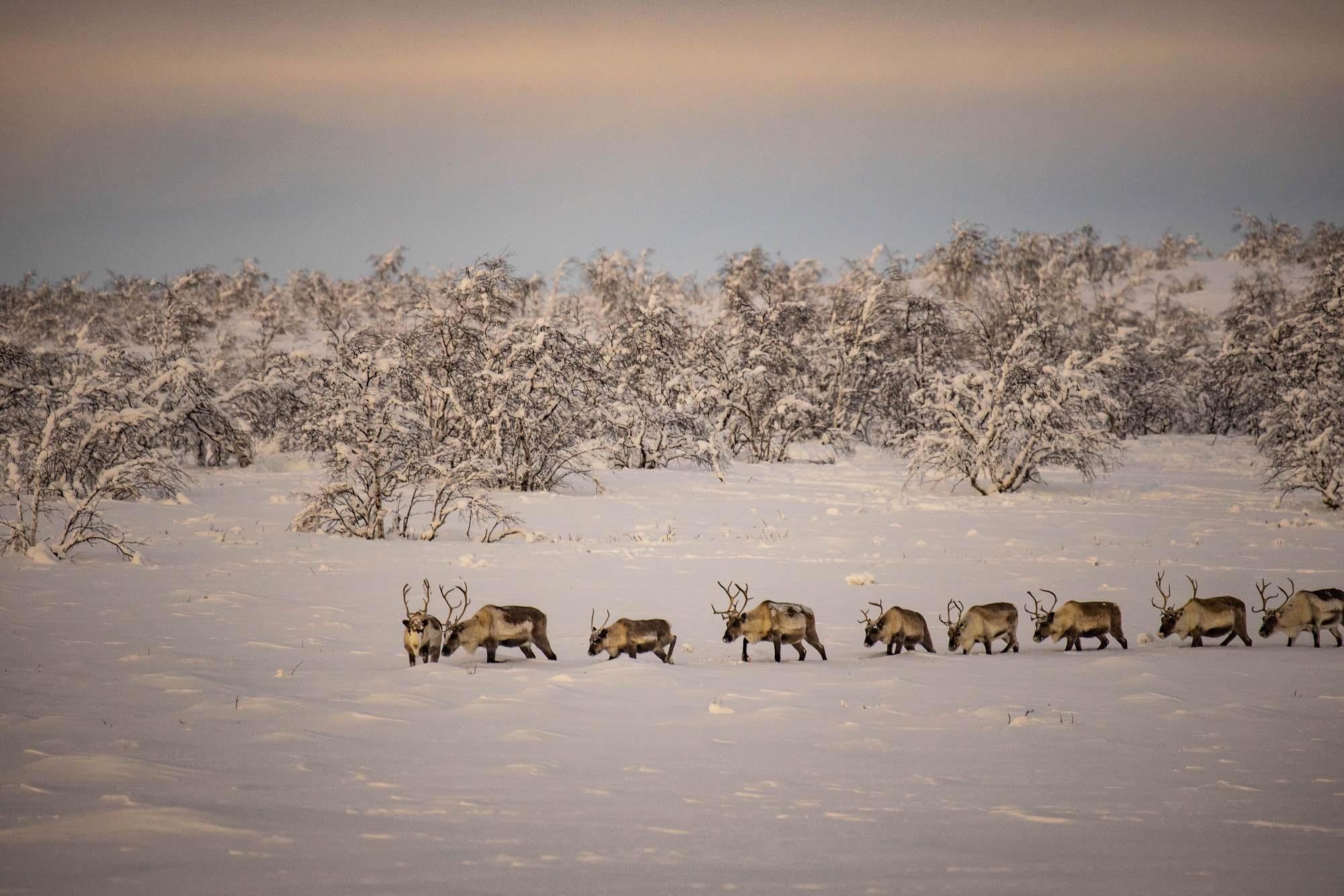 Du lich Na Uy anh 22