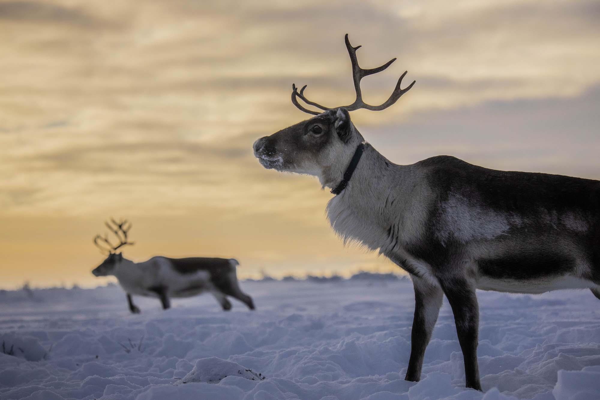 Du lich Na Uy anh 20