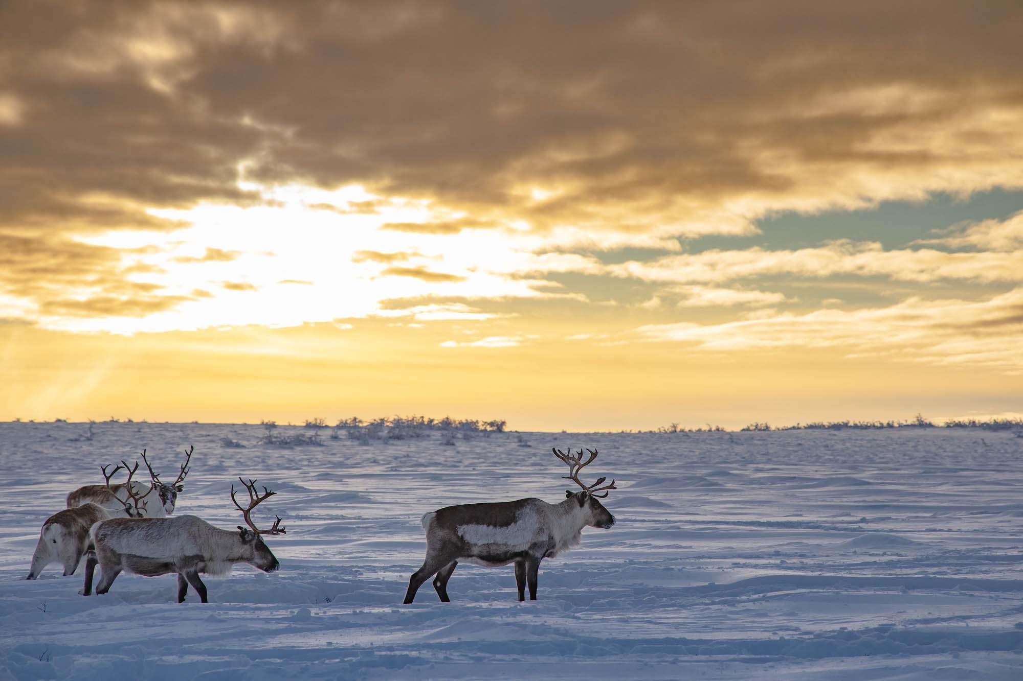 Du lich Na Uy anh 21