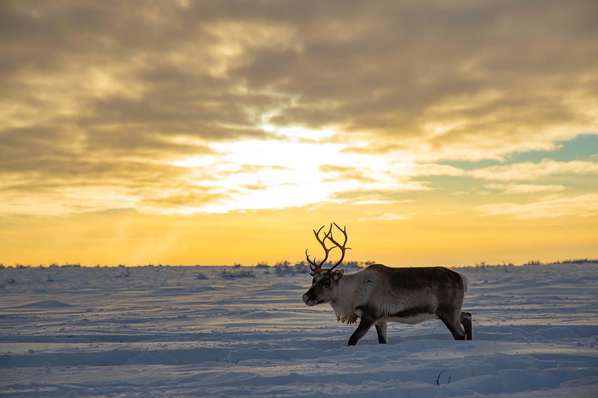 Du lich Na Uy anh 13