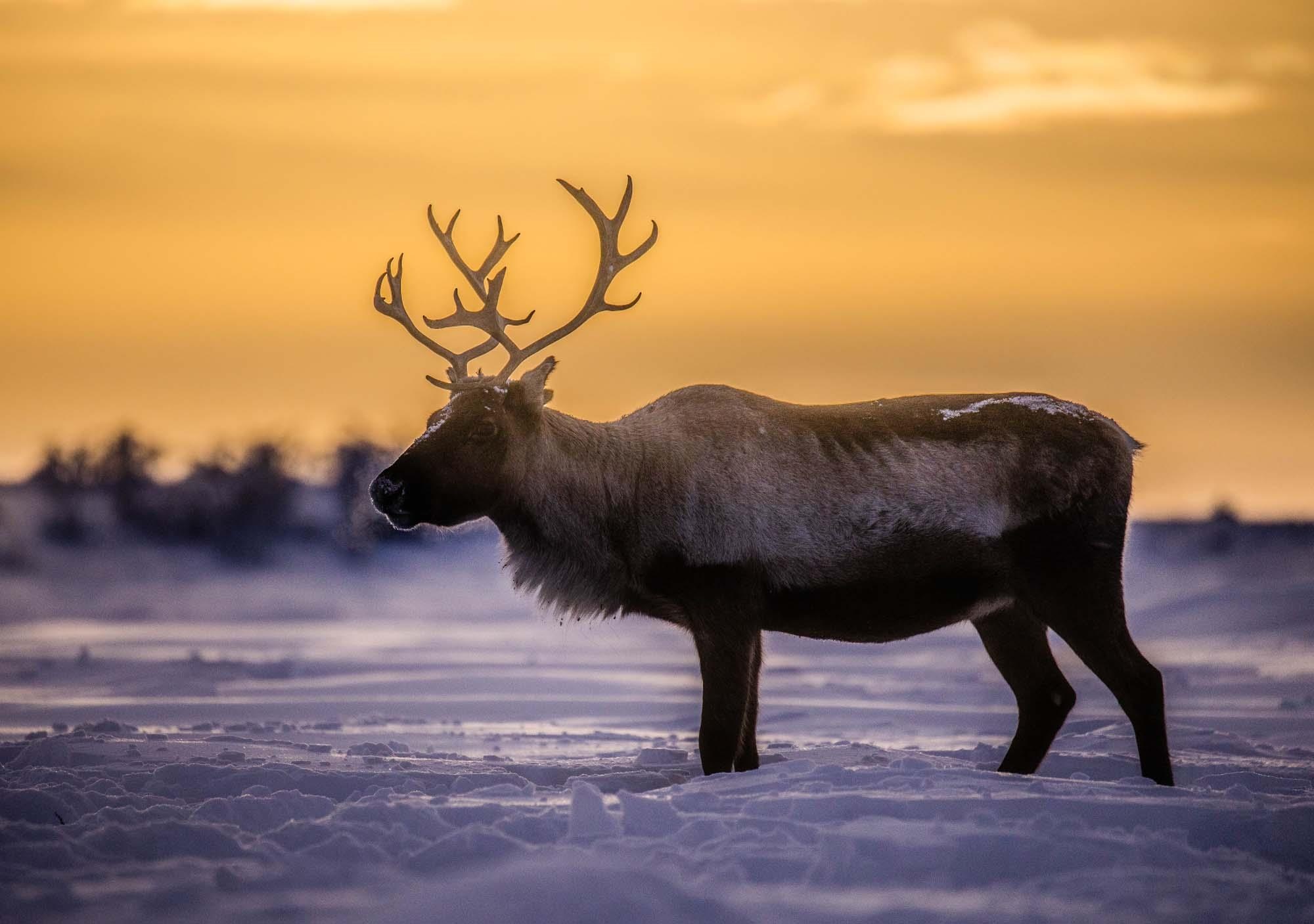 Du lich Na Uy anh 14