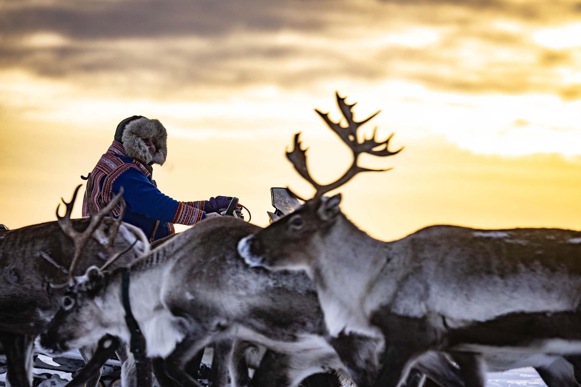 50 trieu va hanh trinh den Na Uy chan tuan loc, ngam bac cuc quang hinh anh