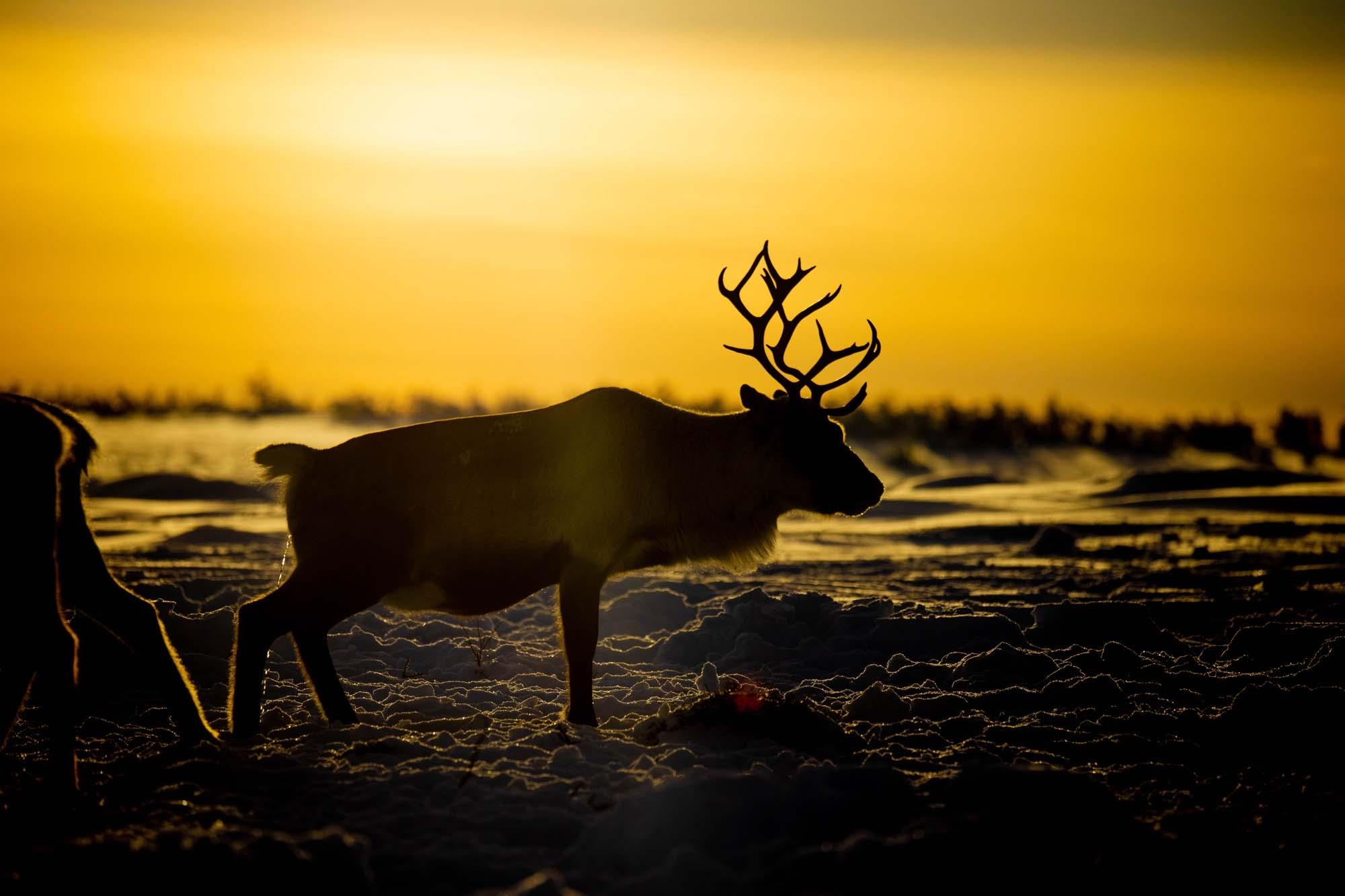 Du lich Na Uy anh 16