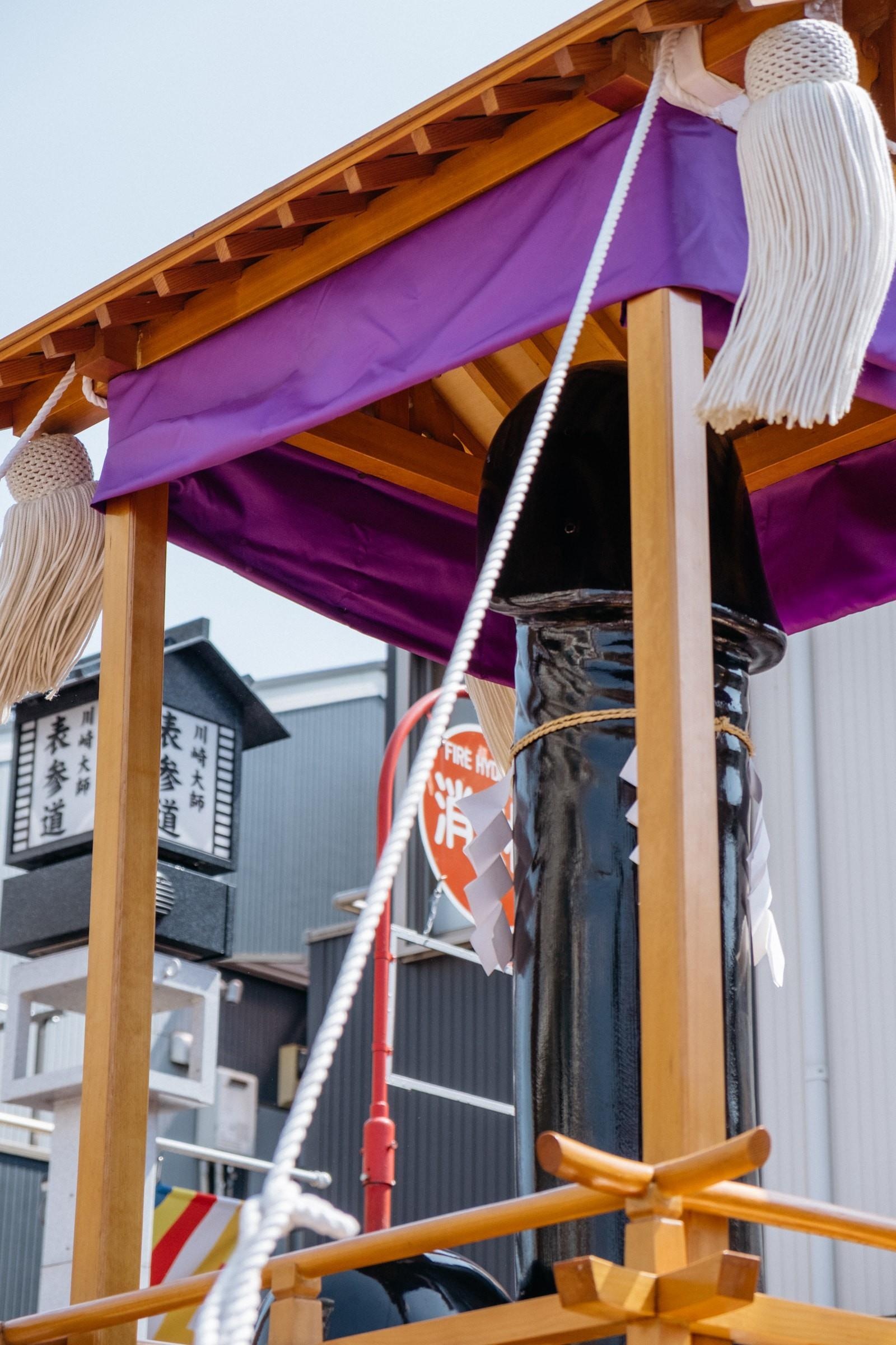 Le hoi ruoc duong vat anh 7