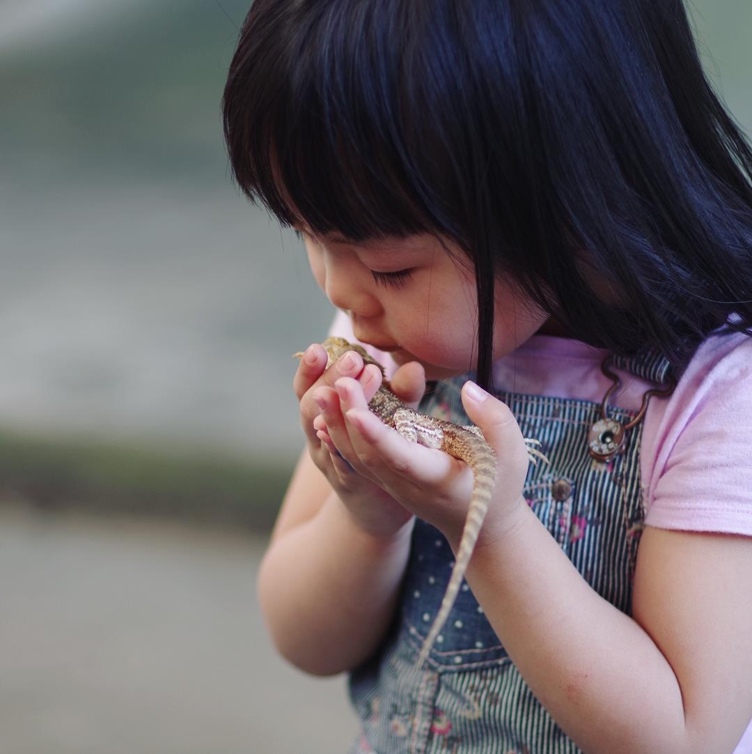 Du lich Chiang Mai anh 2