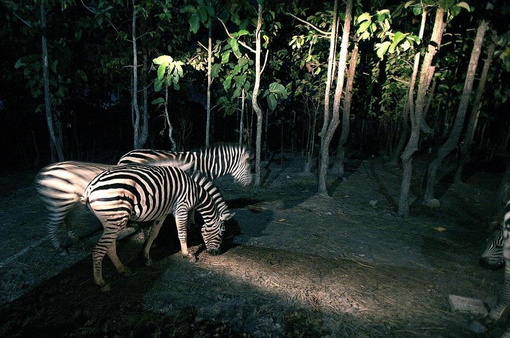 Du lich Chiang Mai anh 4