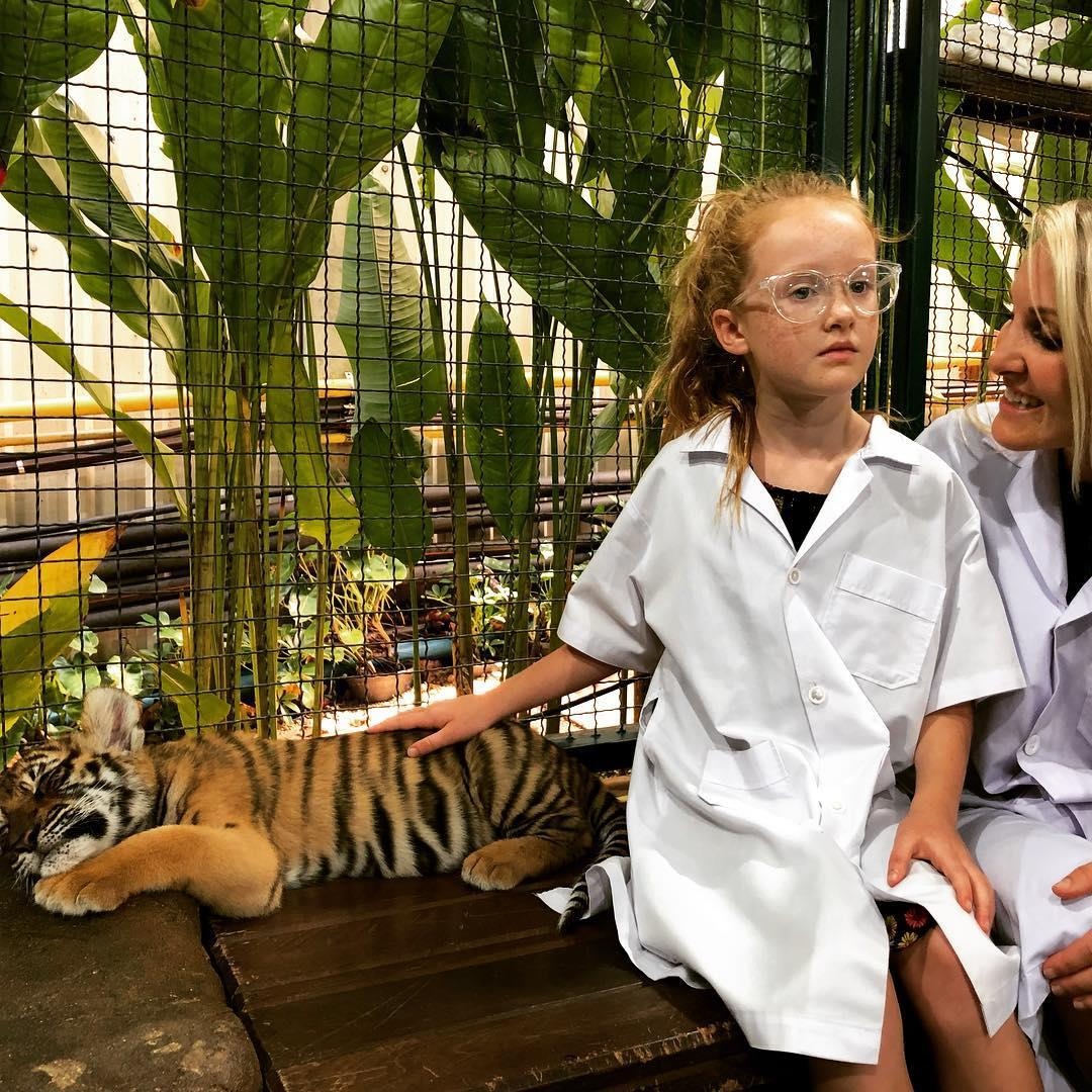 Du lich Chiang Mai anh 12