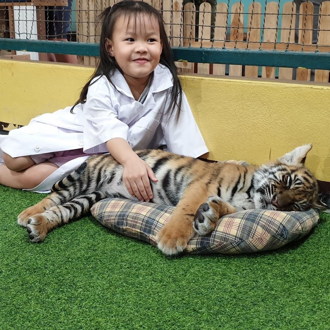 Du lich Chiang Mai anh 13