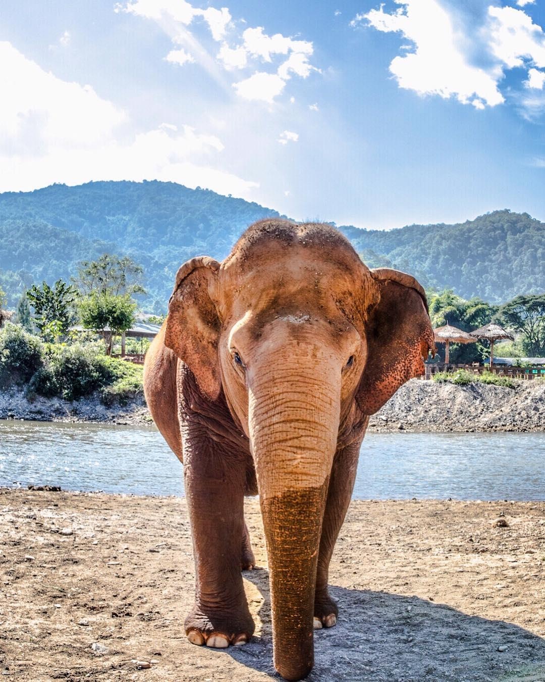 Du lich Chiang Mai anh 11