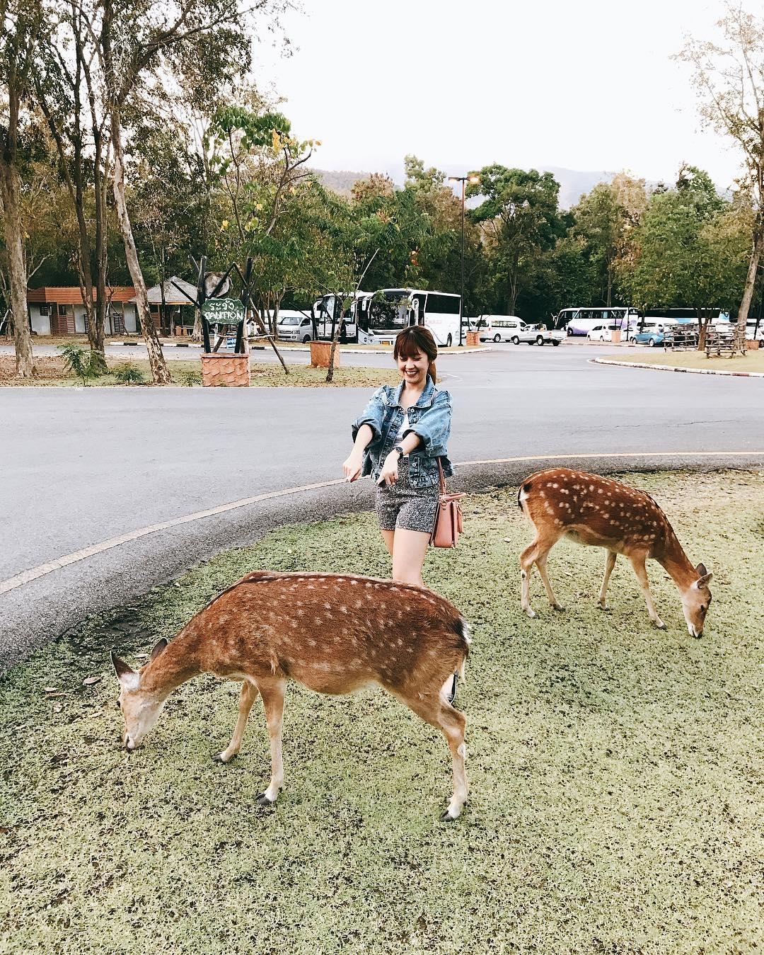 Du lich Chiang Mai anh 6