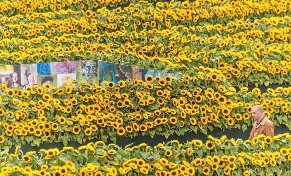 Bảo tàng Van Gogh ảnh 2 Bao tang Van Gogh anh 2