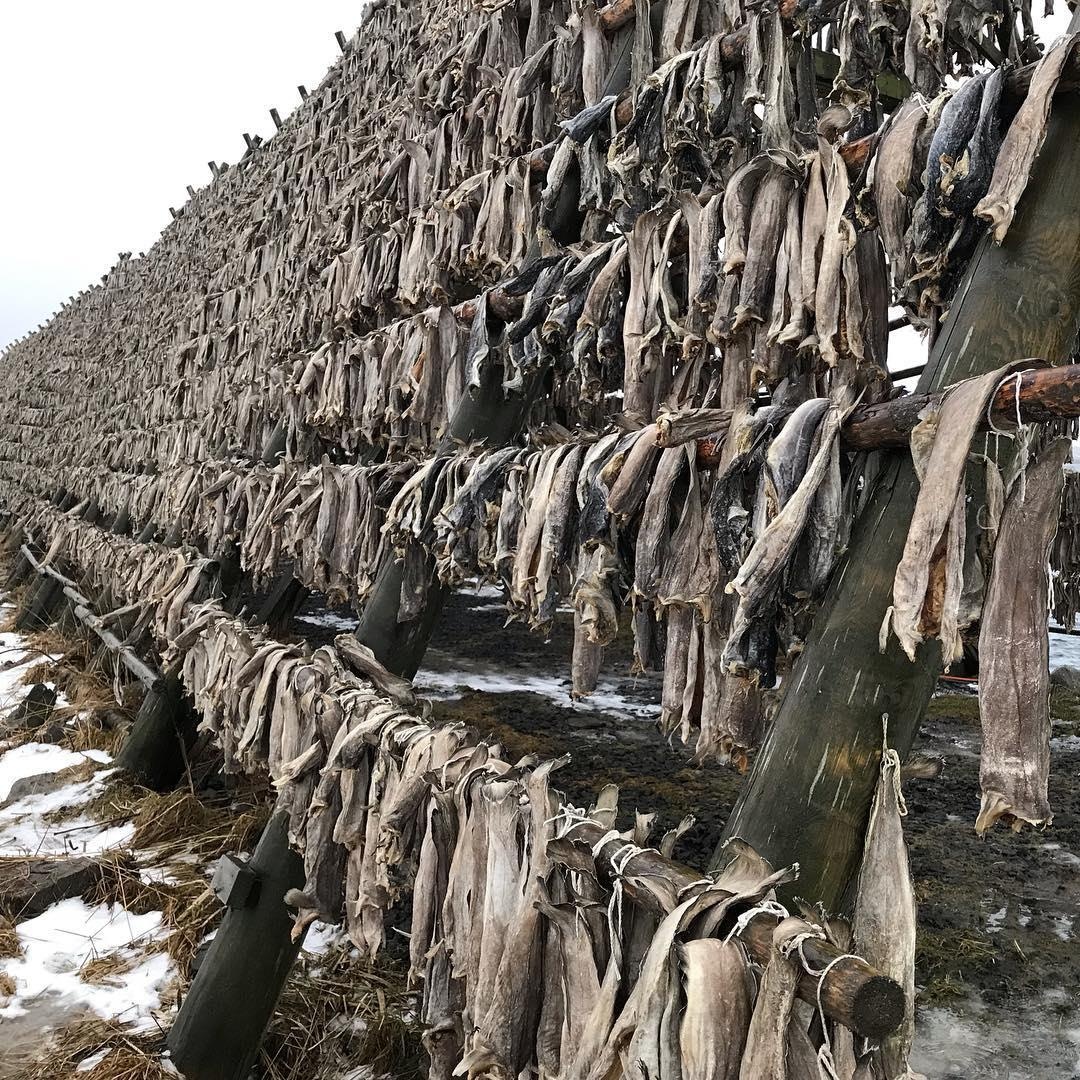 Đặc sản bốc mùi thối ảnh 7 Dac san boc mui thoi anh 7