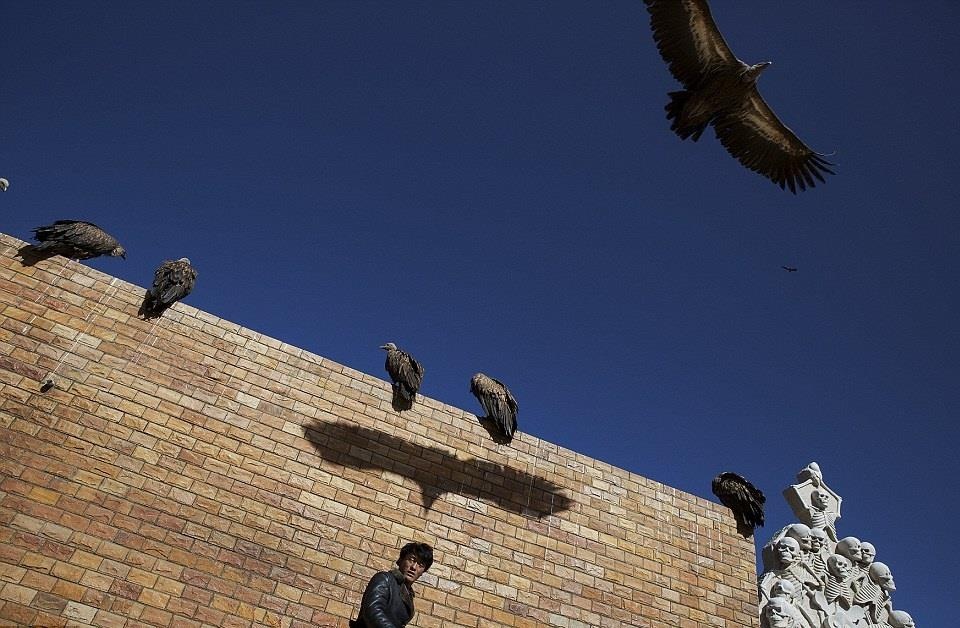 Tuc dieu tang o Tay Tang anh 2