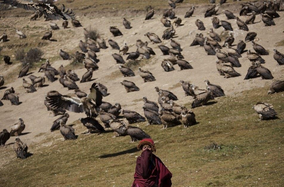 Tuc dieu tang o Tay Tang anh 3