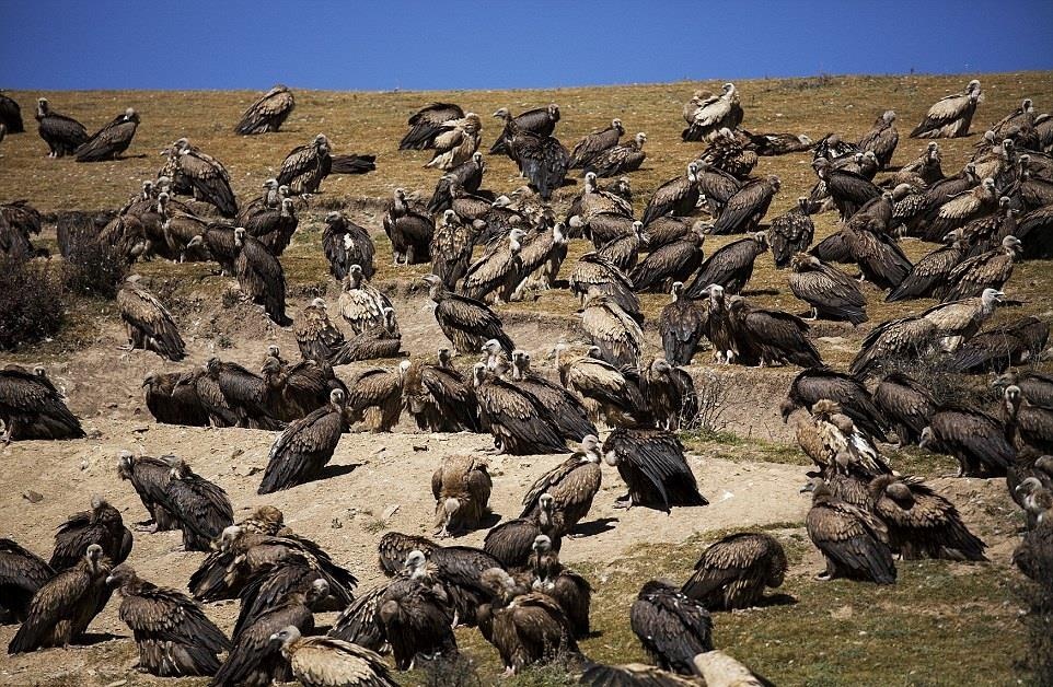 Tuc dieu tang o Tay Tang anh 7