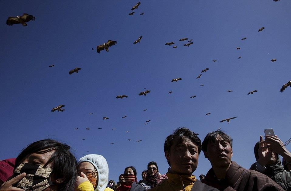 Tuc dieu tang o Tay Tang anh 8