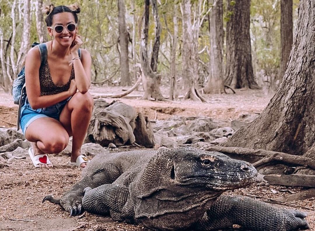 Indonesia du dinh dong cua dao Komodo mot nam de bao ton loai rong quy hinh anh