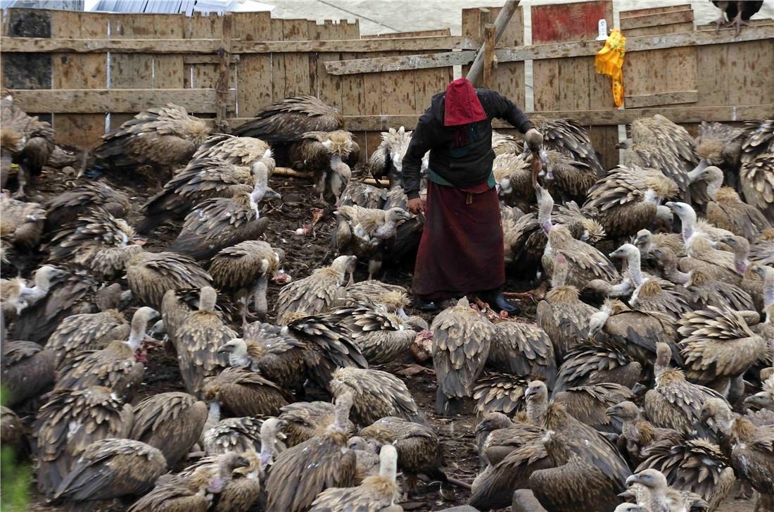 Uop xac, ken ken ria thay va nhung tuc le mai tang ky di tren the gioi hinh anh