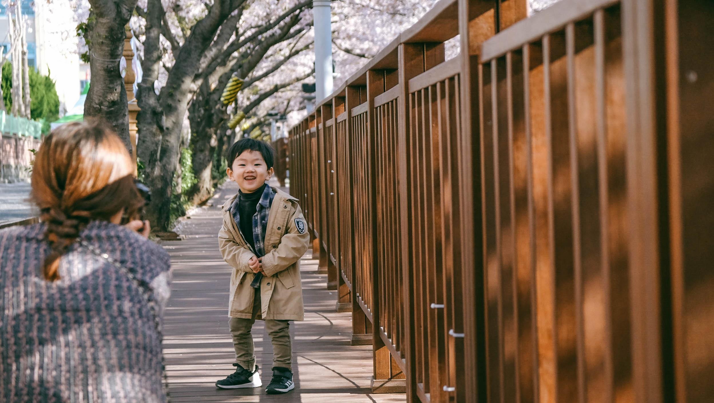 Hoa anh dao Han Quoc anh 20