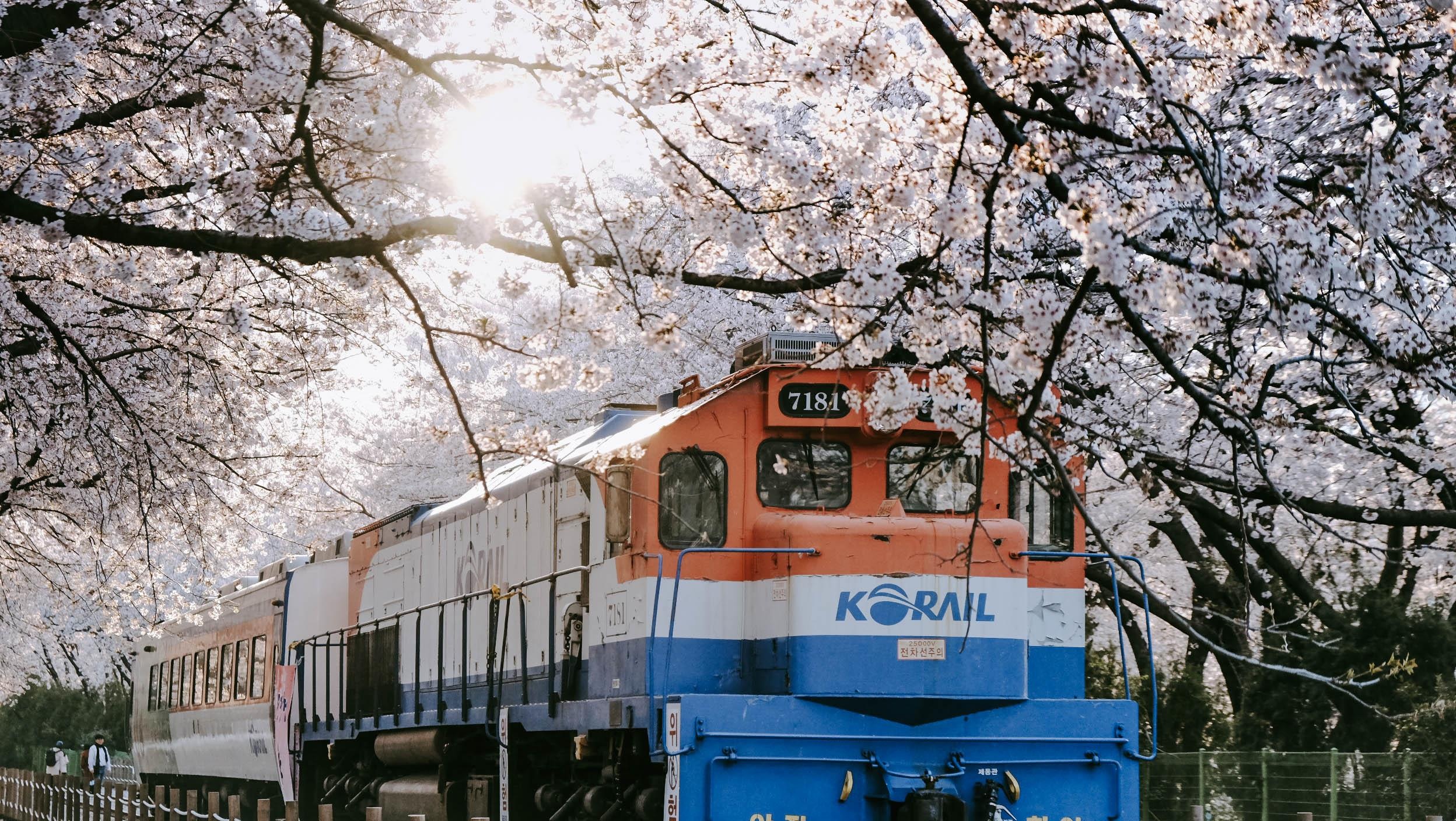 Mua anh dao khoe sac, ru nhau sang Han Quoc check-in dep quen loi ve hinh anh