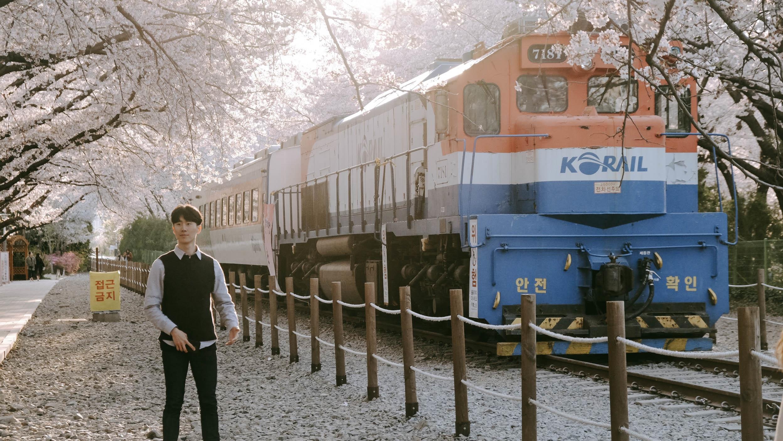 Hoa anh dao Han Quoc anh 23