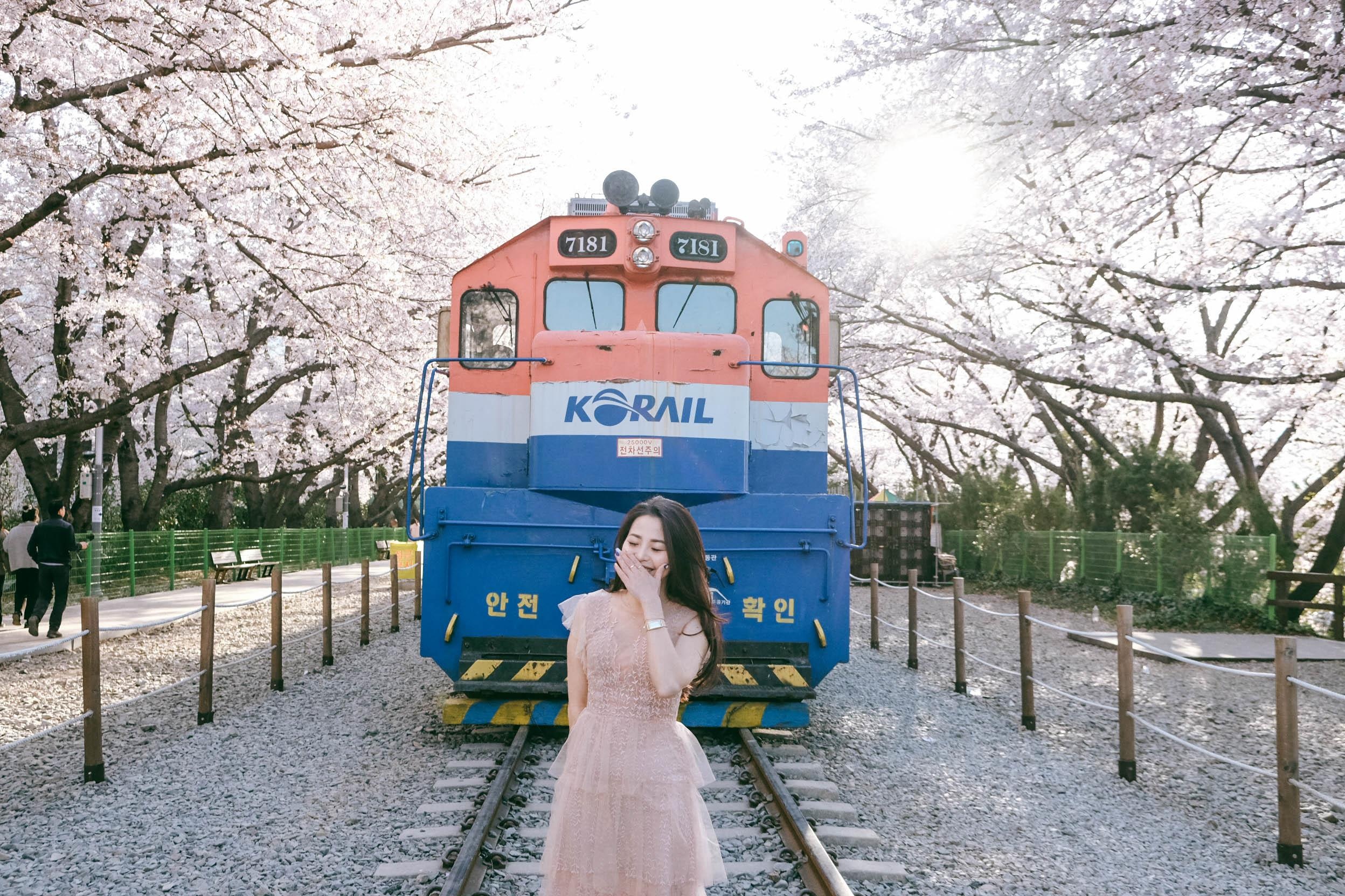 Hoa anh dao Han Quoc anh 21