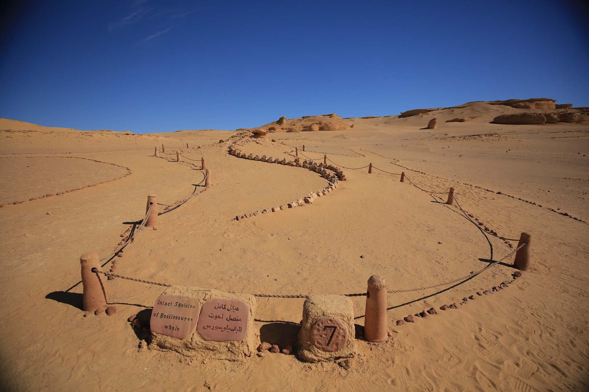 Kim tu thap Ai Cap anh 4