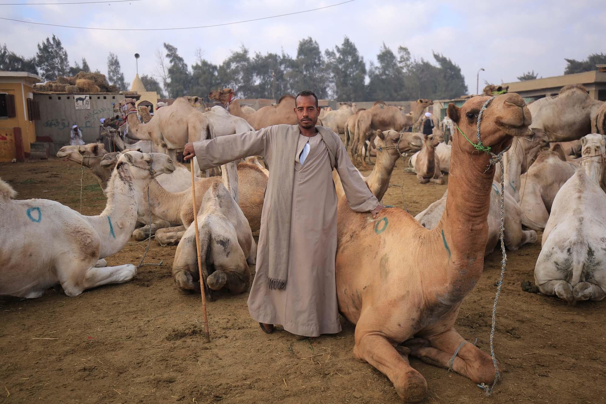 Kim tu thap Ai Cap anh 14