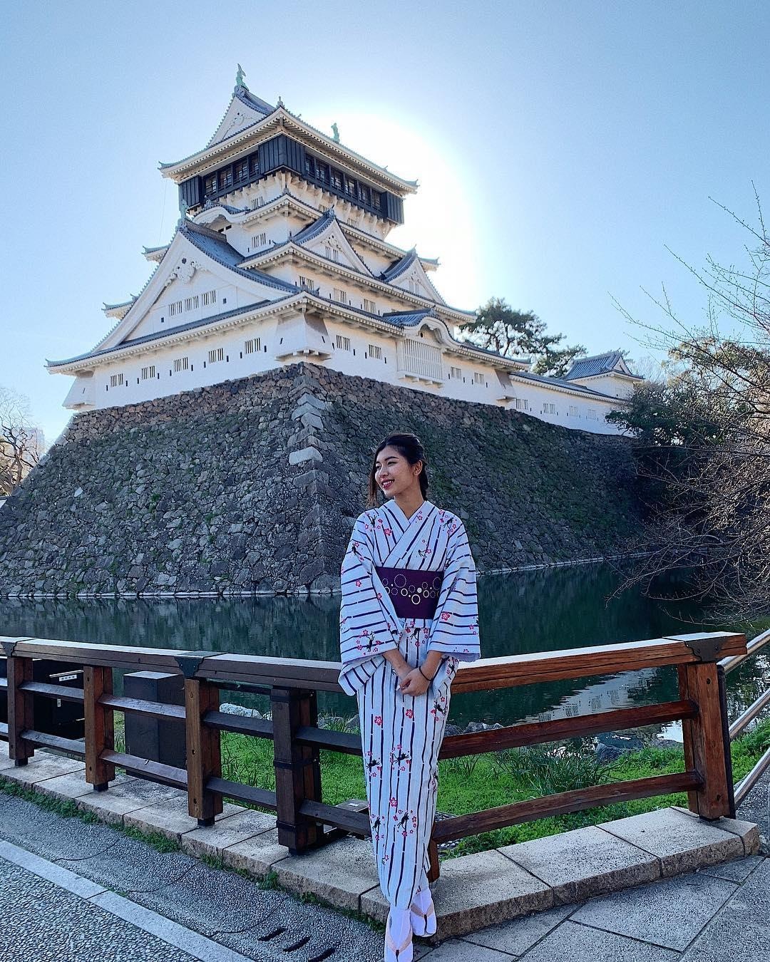 Hoa anh dao Nhat Ban anh 7